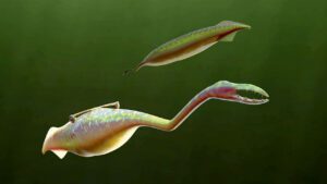 The Ancient 300-Million-Year-Old Tully Monster Was So Unusual That Scientists Still Don’t Know How to Classify It.